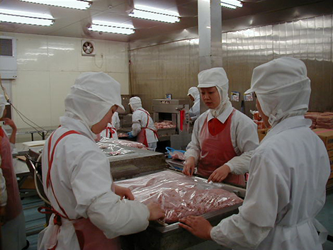 鶏肉加工.JPG
