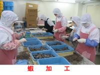 蝦加工